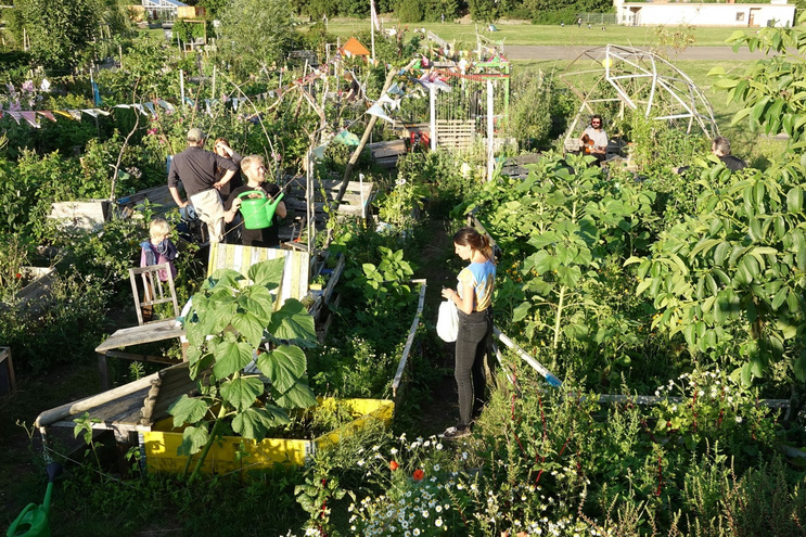 Photo of a garden in Berlin