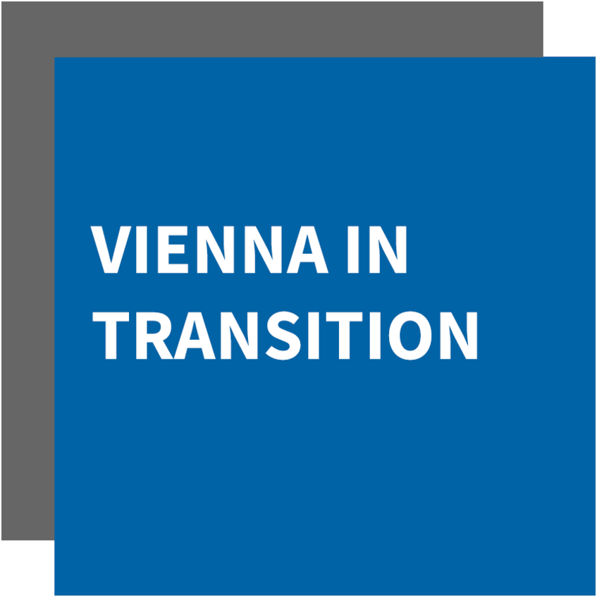 Vienna in Transition