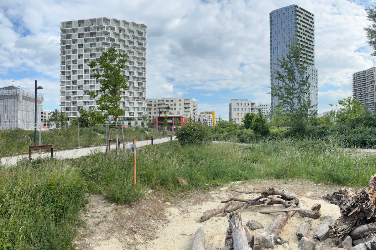 Tall buildings and green space in Vienna